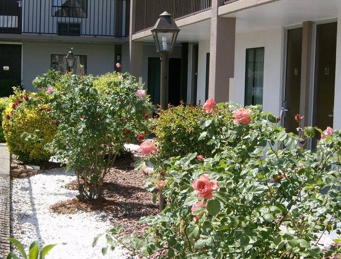 Shelbyville Inn - Shelbyville, Tn 37160 Екстериор снимка